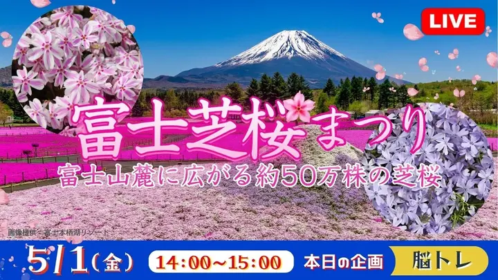 【生中継】富士芝桜まつり 富士山麓に広がる約50万株の芝桜＜山梨県＞
