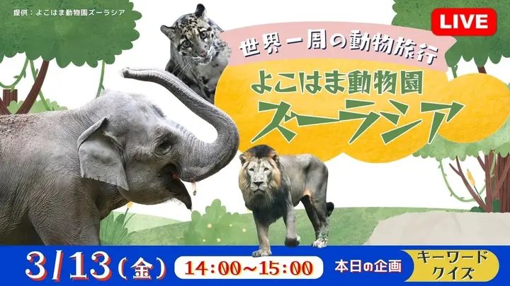 【生中継】世界一周の動物旅行　よこはま動物園ズーラシア＜神奈川県＞