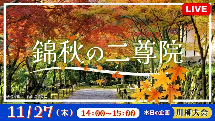 【生中継】錦秋の二尊院 <京都府>