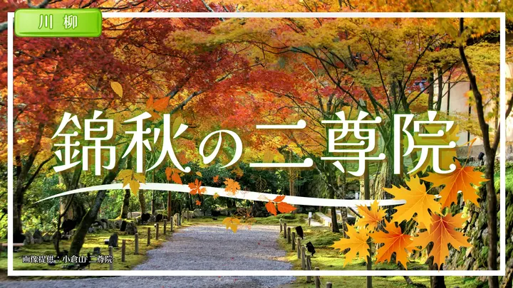 錦秋の二尊院 ＜京都府＞