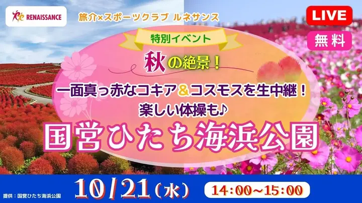 【無料:生中継】画面の向こうは秋の絶景!秋色コキアとコスモスの丘ライブ&元気体操<国営ひたち海浜公園>