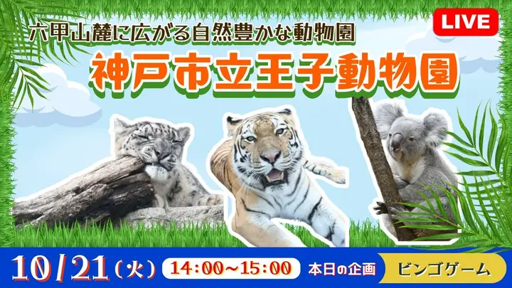 【生中継】六甲山麓に広がる自然豊かな動物園 神戸市立王子動物園～＜兵庫県＞