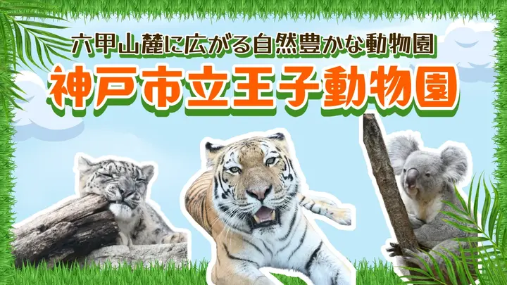 六甲山麓に広がる自然豊かな動物園 神戸市立王子動物園~<兵庫県>
