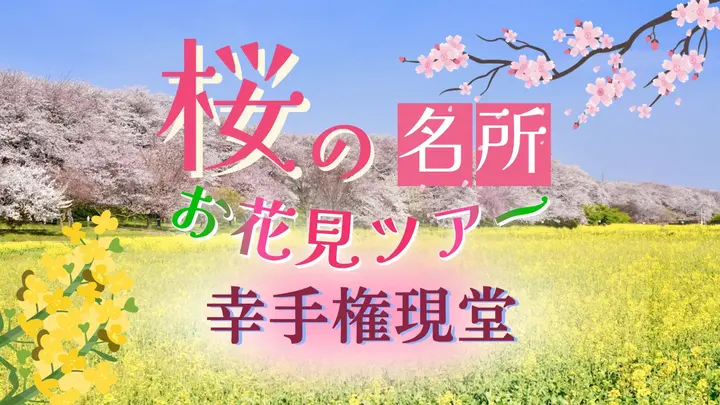 桜の名所 お花見ツアー 幸手権現堂<埼玉県>