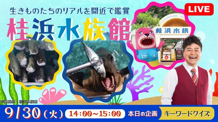 【生中継】あつかんDRAGON おだちと行く！生きものたちのリアルを間近で鑑賞　桂浜水族館＜高知県＞