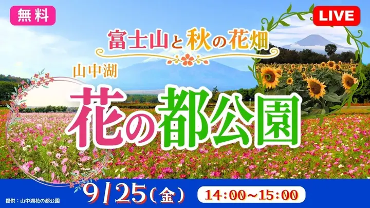 【無料:生中継】富士山と秋の花畑 〈山中湖 花の都公園〉