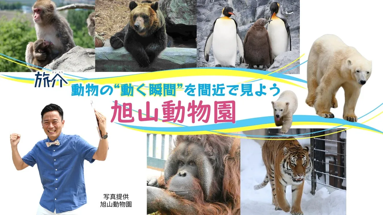 動物の「動く瞬間」を間近で見よう 旭山動物園