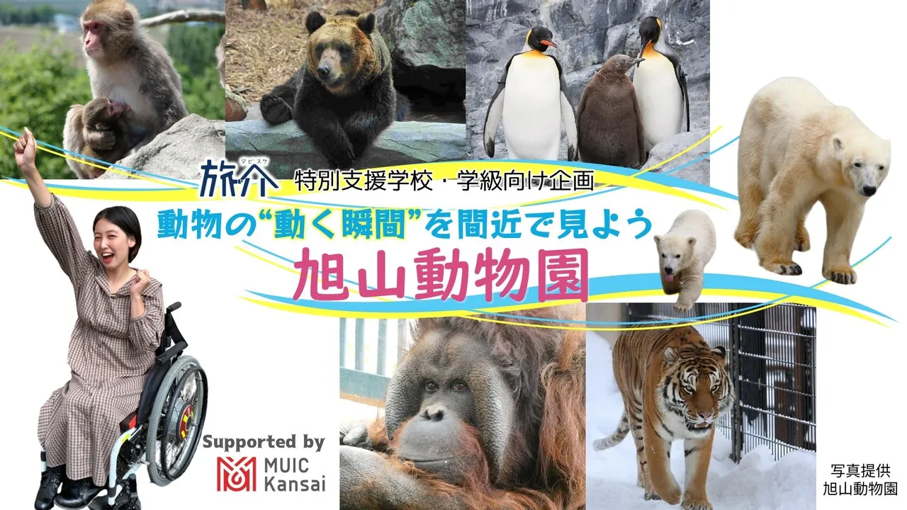 【学生向け】動物の「動く瞬間」を間近で見よう 旭山動物園