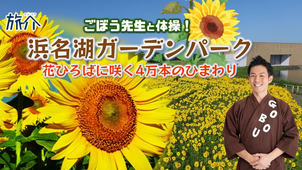ごぼう先生と行く！浜名湖ガーデンパーク  花ひろばに咲く4万本のひまわり