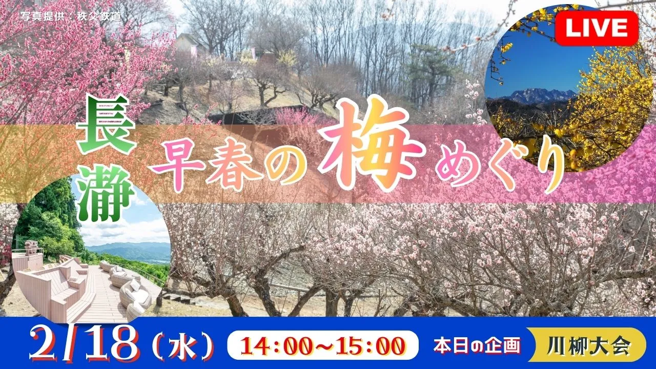 【生中継】長瀞 早春の梅めぐり＜埼玉県＞
