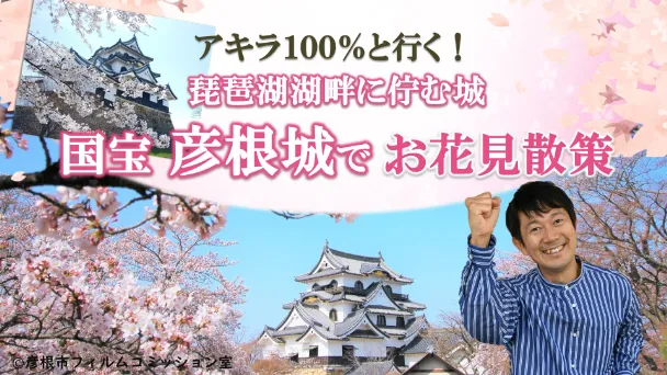 アキラ100%と行く！琵琶湖湖畔に佇む城　国宝彦根城でお花見散策