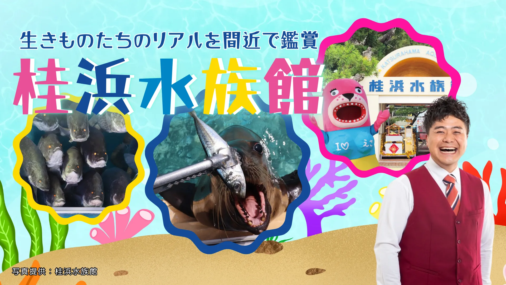 【生中継】あつかんDRAGON おだちと行く!生きものたちのリアルを間近で鑑賞 桂浜水族館<高知県>