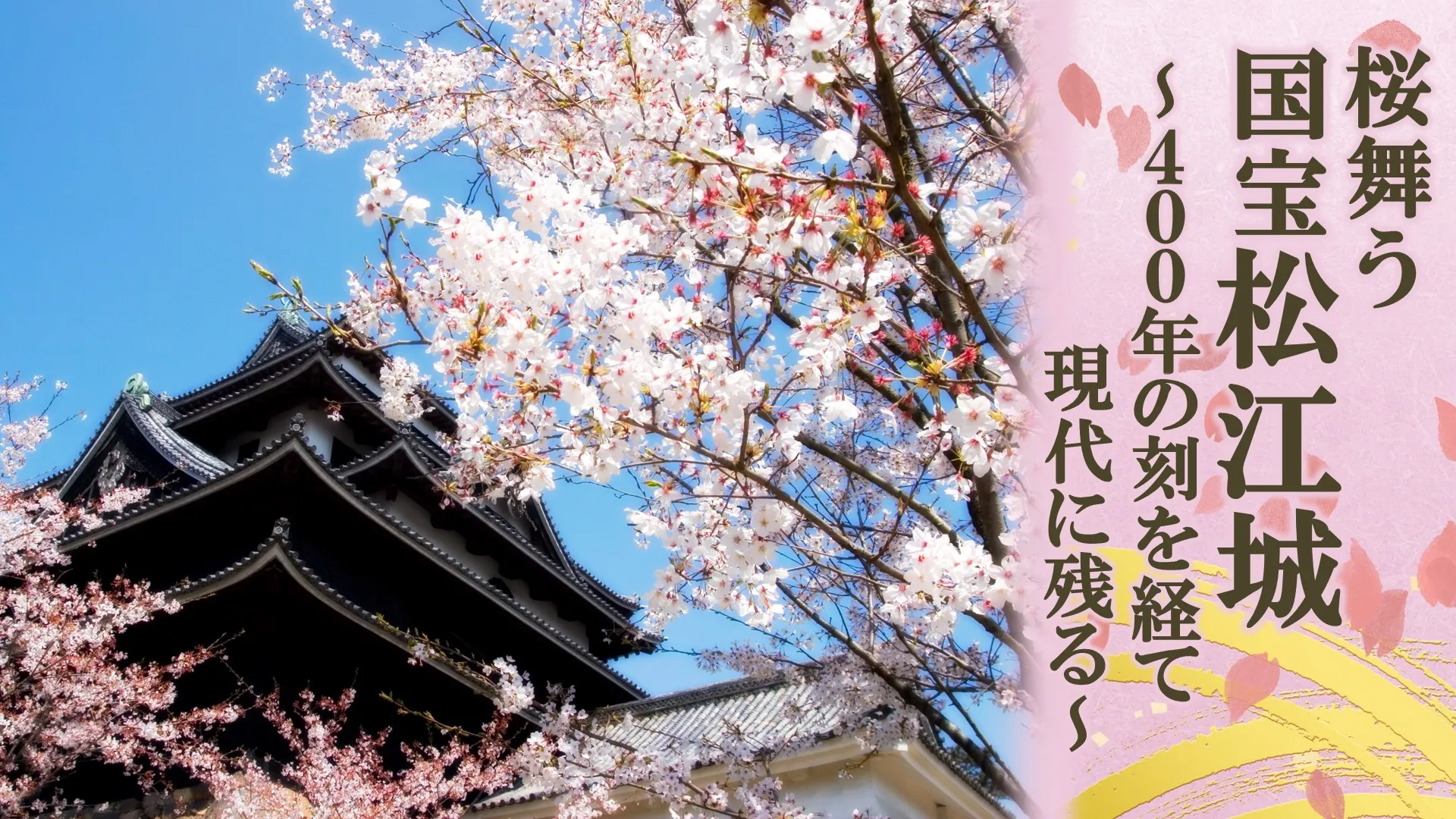 桜舞う国宝松江城～400年の刻を経て現代に残る～