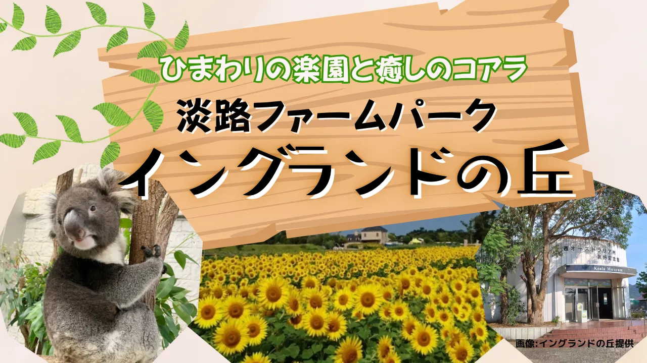 【生中継】ひまわりの楽園と癒しのコアラ 淡路ファームパーク イングランドの丘＜兵庫県＞