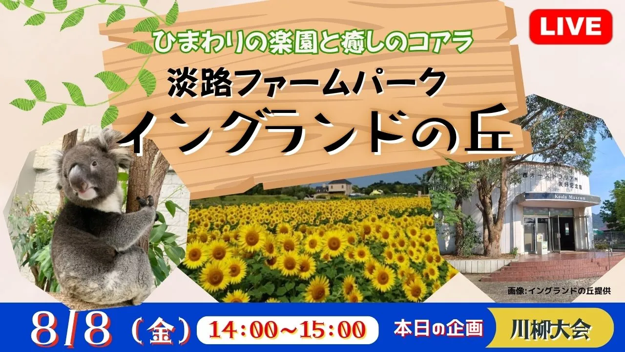 【生中継】ひまわりの楽園と癒しのコアラ 淡路ファームパーク イングランドの丘<兵庫県>