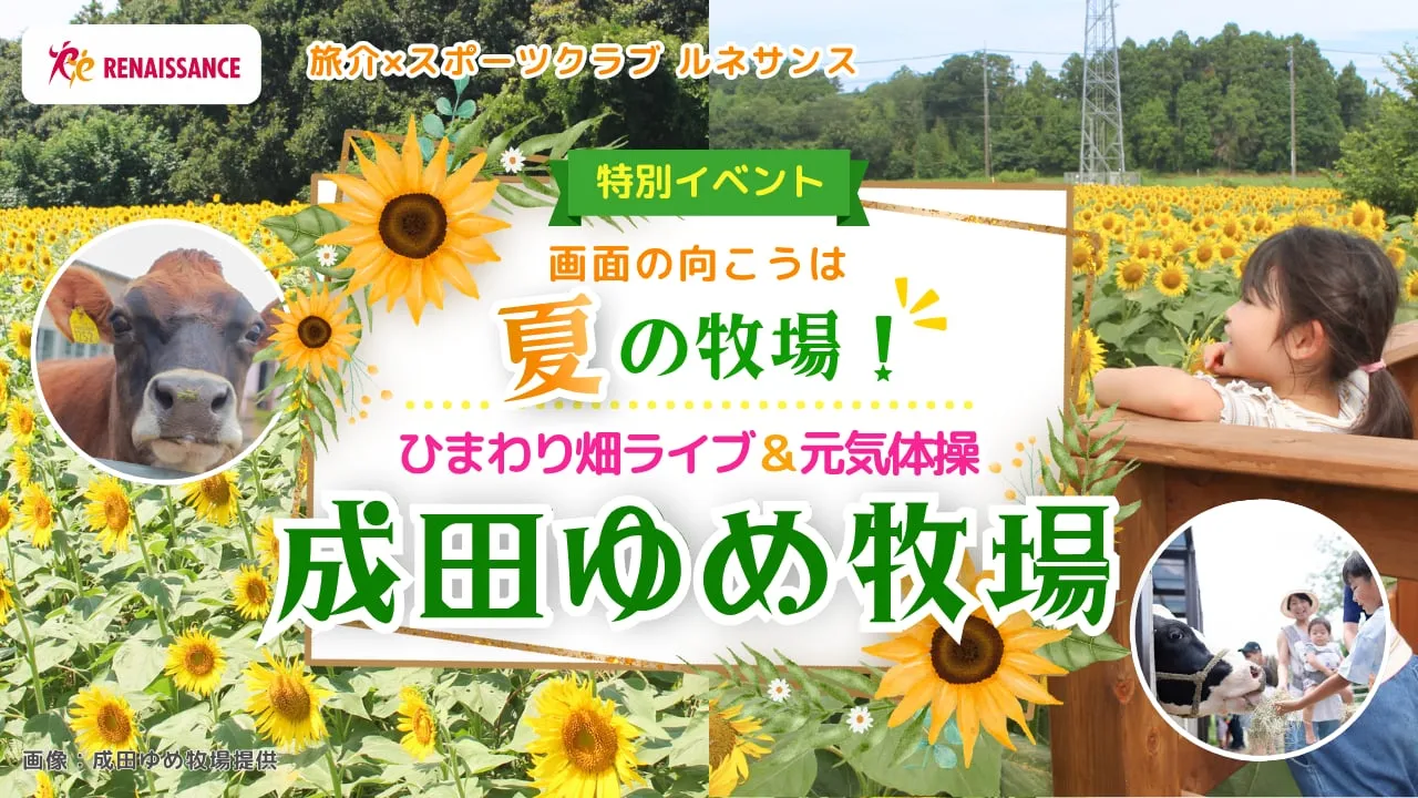ひまわり畑ライブ＆元気体操〈成田ゆめ牧場〉