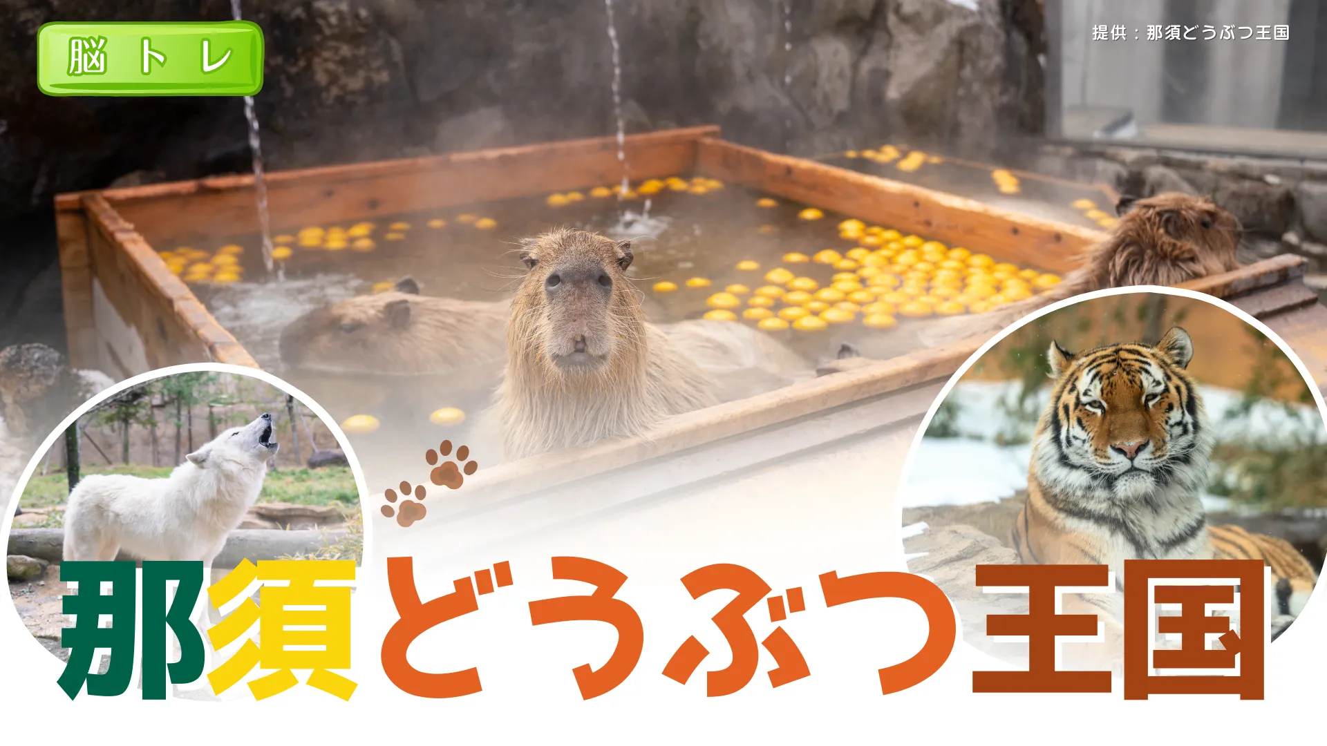 那須どうぶつ王国＜栃木県＞