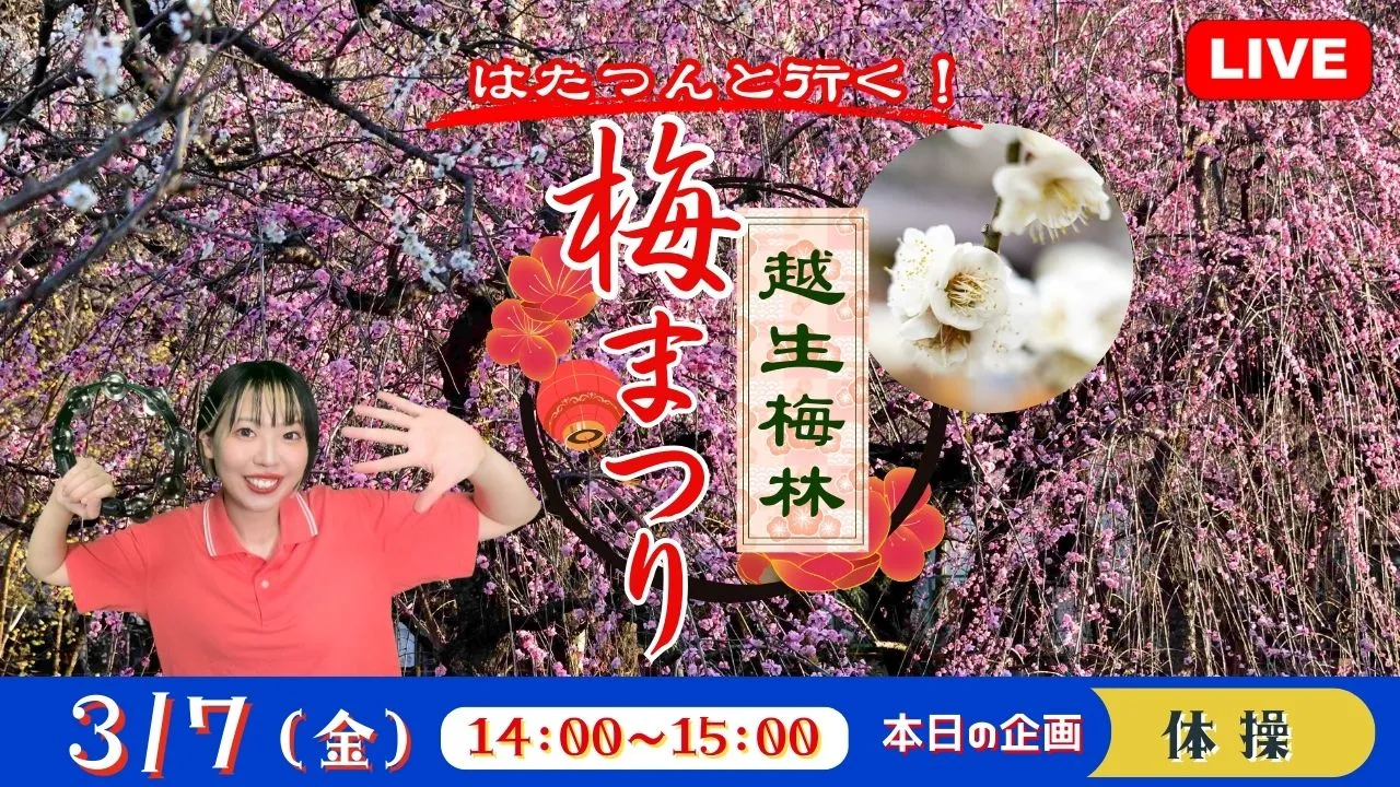 【生中継】はたつんと行く!越生梅林 梅まつり<埼玉県>(健康チャンネル)