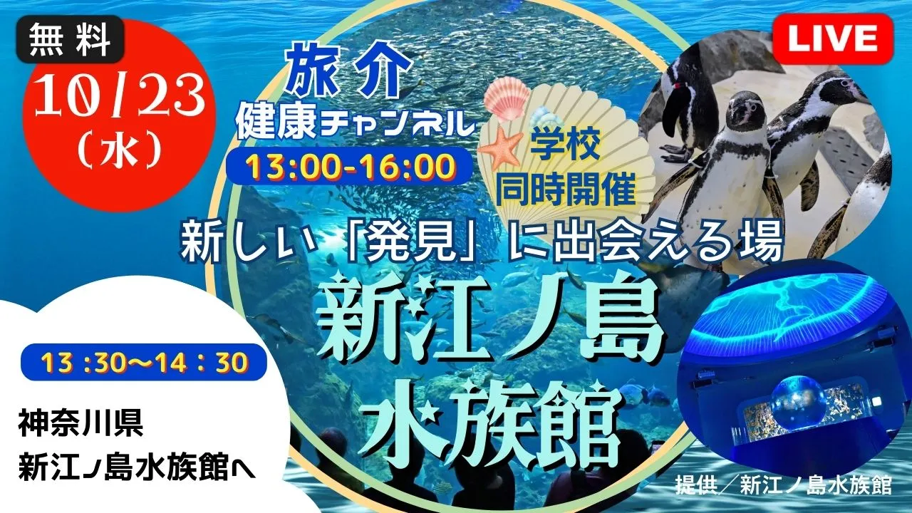 【生中継】 ＜学校同時開催＞新しい「発見」に出会える場 新江ノ島水族館（健康チャンネル）