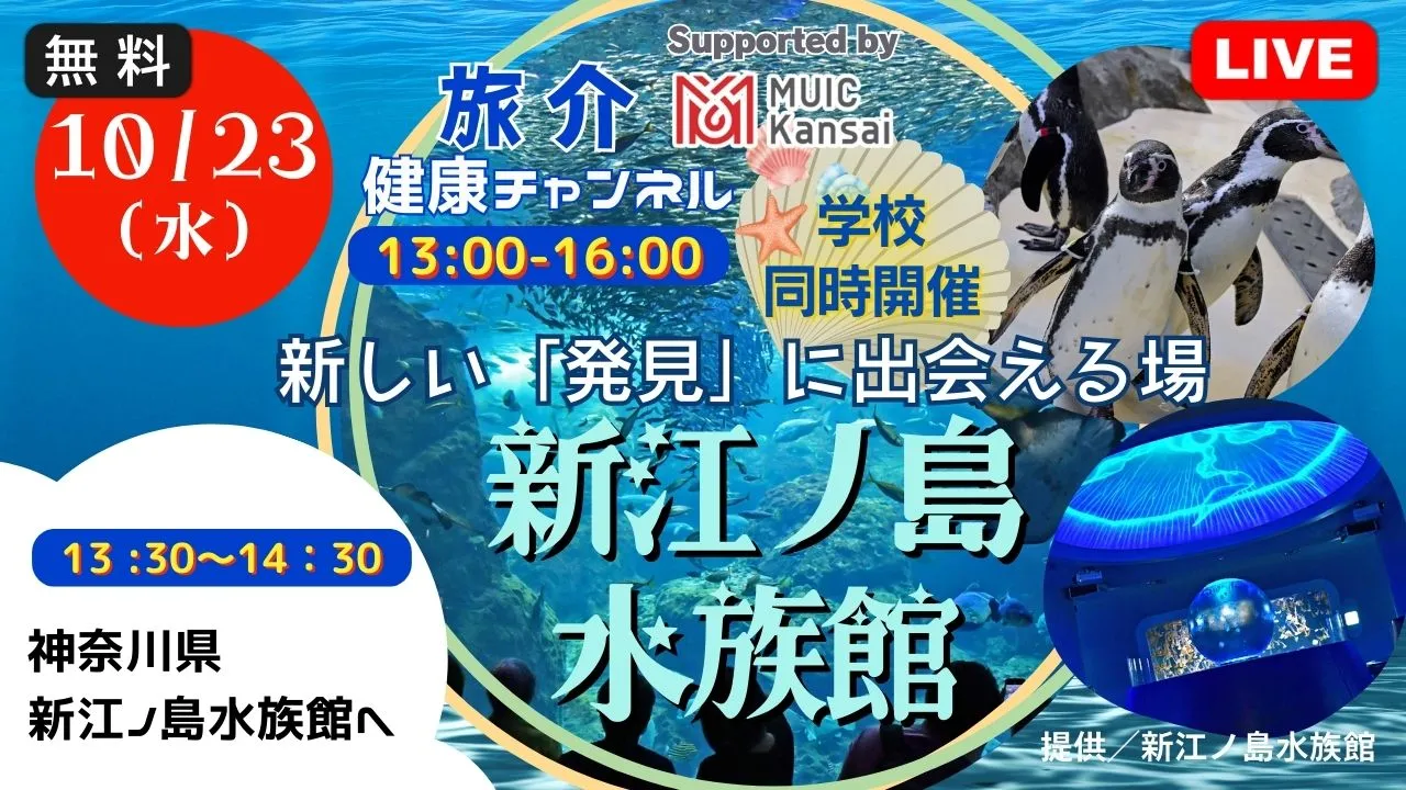 【生中継】 ＜学校同時開催＞新しい「発見」に出会える場 新江ノ島水族館（健康チャンネル）