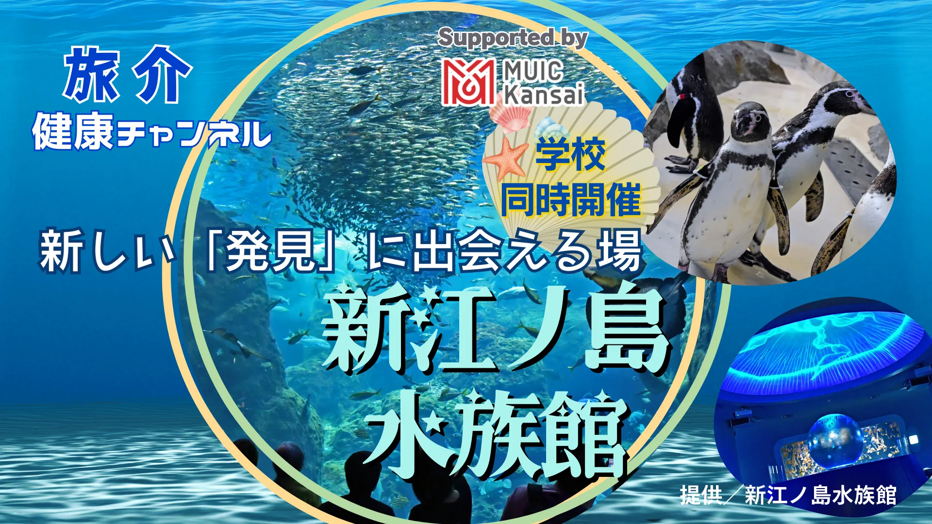 ＜学校同時開催＞新しい「発見」に出会える場 新江ノ島水族館（健康チャンネル）