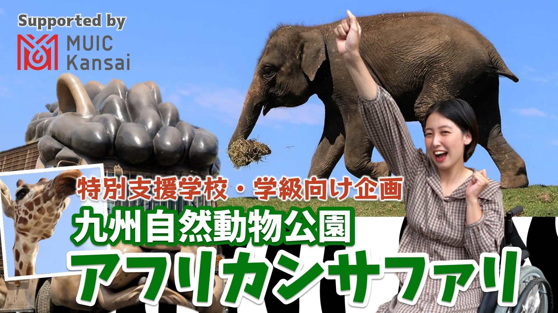 【学生向け】九州自然動物公園 アフリカンサファリ