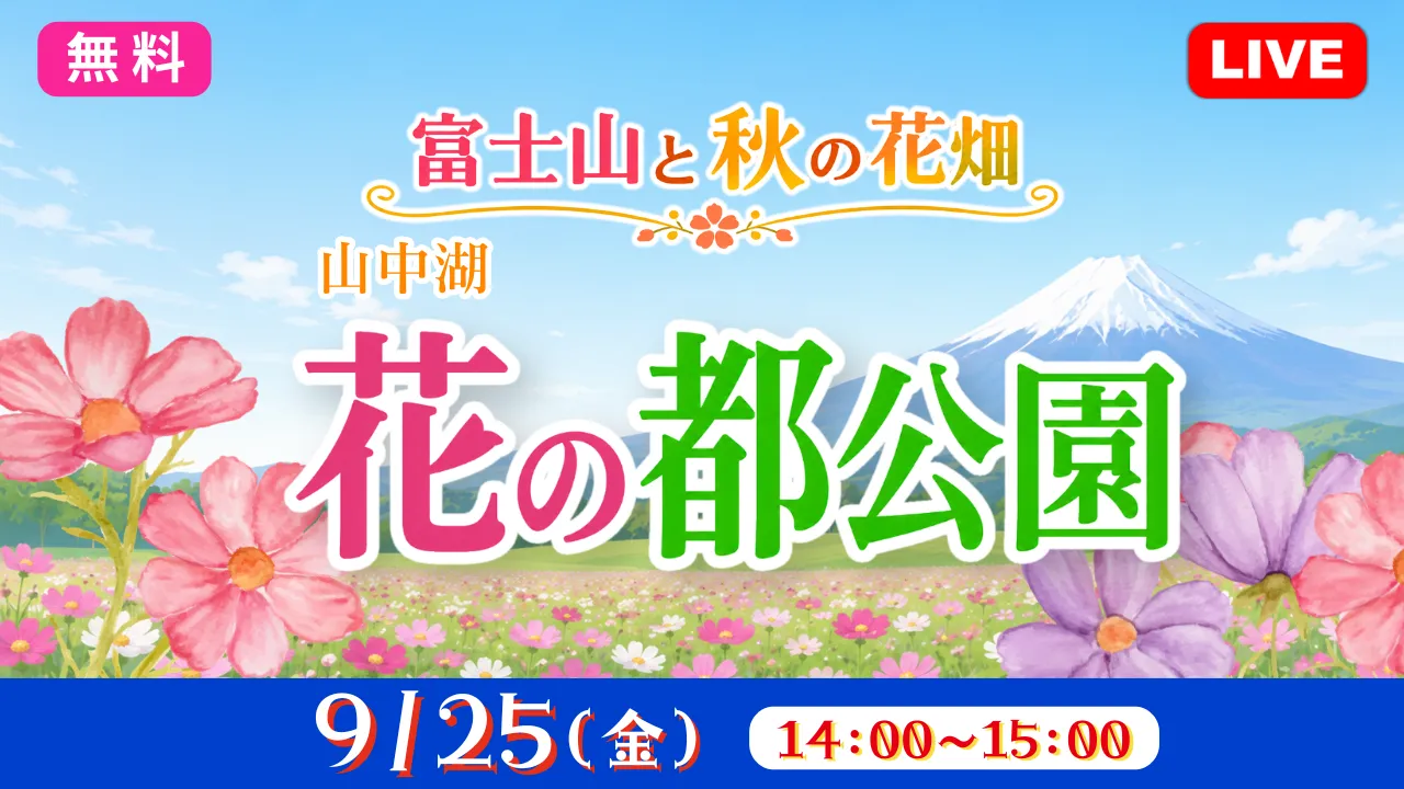 【無料：生中継】富士山と秋の花畑 山中湖 花の都公園