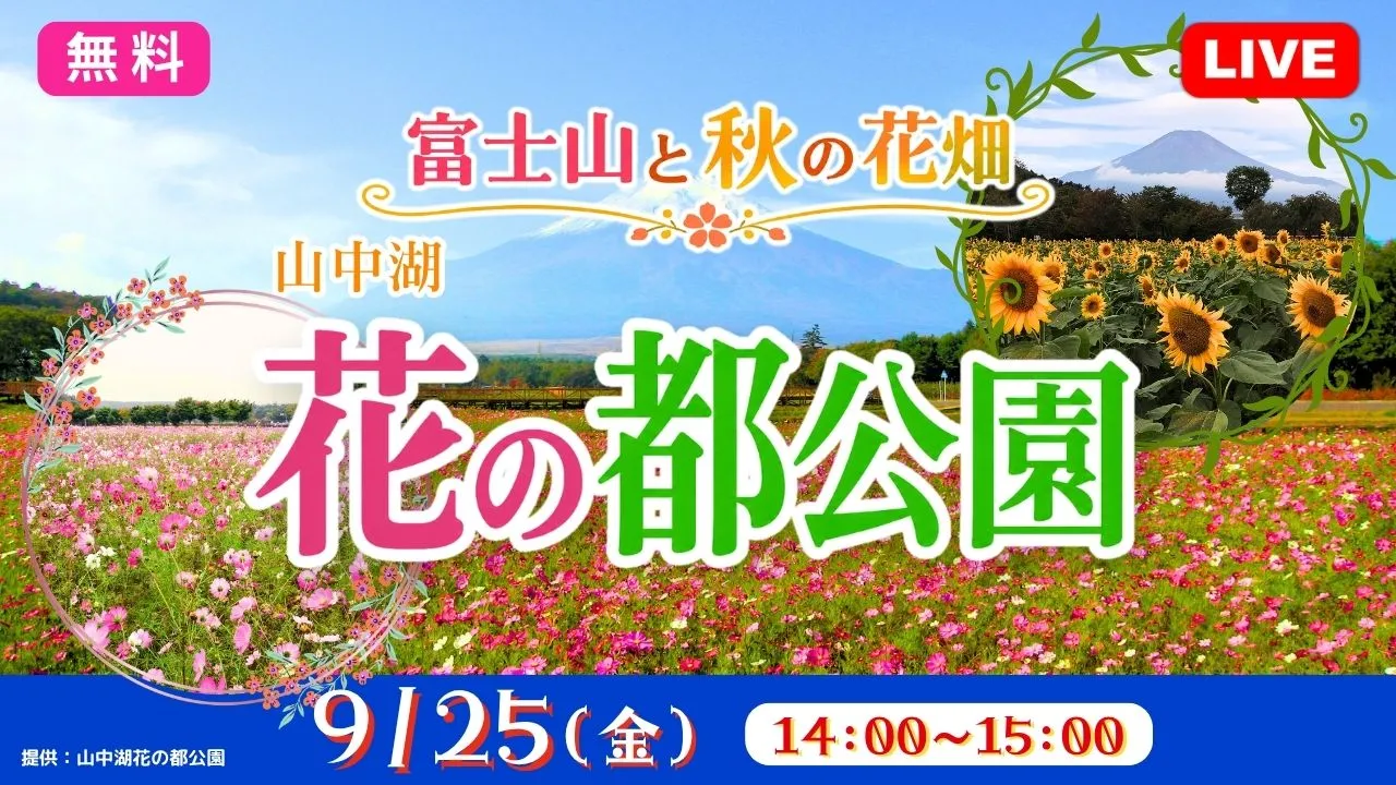 【無料:生中継】富士山と秋の花畑 〈山中湖 花の都公園〉