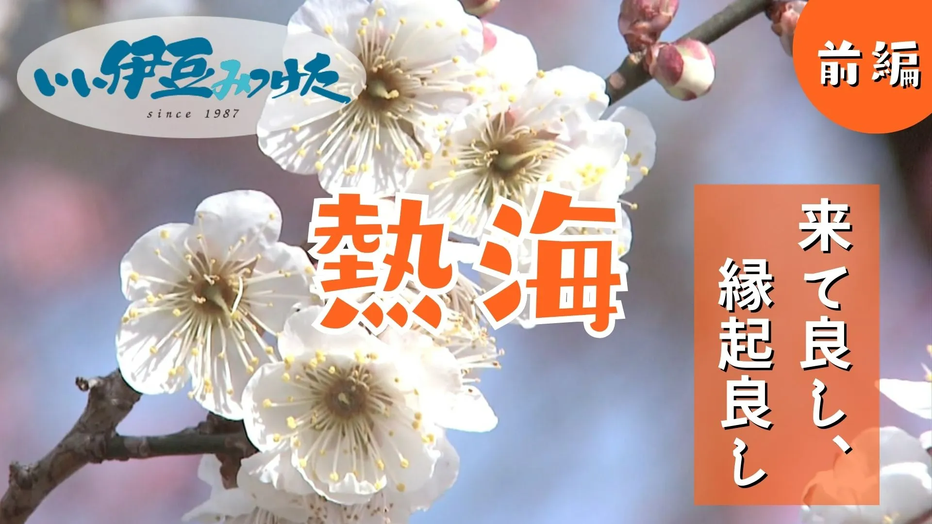 【いい伊豆】熱海来て良し、縁起良し　前編